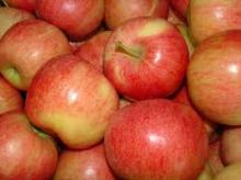 Fresh Apple
