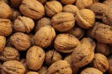 Dried and Raw Walnuts