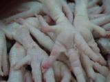 Grade A+++ Frozen Chicken Feet