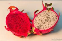 Fresh Dragon Fruit