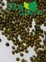 Licorice seeds (uralensis)
