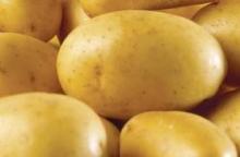 Fresh Potatoes