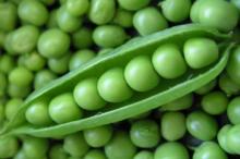  Whole   green   peas 