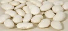 Butter   Beans 
