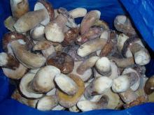  Boletus   Edulis 