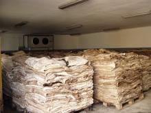 wet salted cow hides