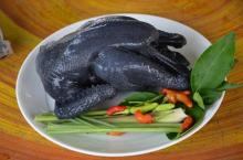 Black Chicken