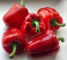  Fresh   Capsicum  Pepper