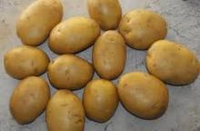 Frozen Potatoes