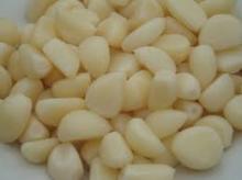 Peeled  Garlic   price 