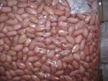 High Quality Peanut Kernel from Cameroon