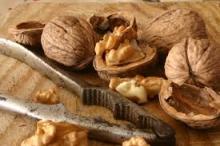 Walnut & Walnut Kernel for sale ( B)