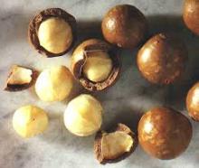 High Quality Macadamia Nuts