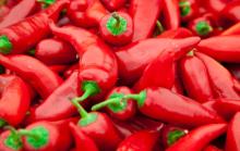 Fresh Red  Chili  Pepper