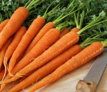 Fresh  Red   Carrot s