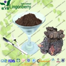 Chaga Mushroom / Inonotus Obliquus Extract with 10-50%Polysaccriarides