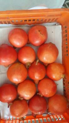 POMEGRANATES