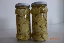 Pure White Canned  Mushroom  in Jar Special for Brazil Market