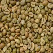 robusta coffee bean