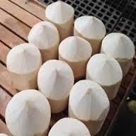 fresh   coconut 