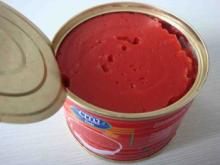 fresh  tomato   sauce   paste  importer