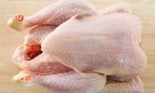 Grade A whole frozen chicken for export halal For sale