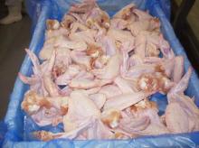Halal Frozen Chicken Wingstick (Drumettes) for sale