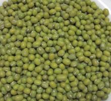 Green Mung Beans New Crop