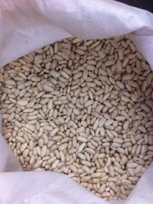  New   Crop   White   Bean s