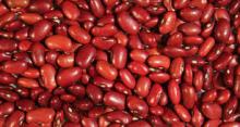 New Crop Red Kidney Beans