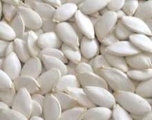 Snow White  Pumkin   Seeds 