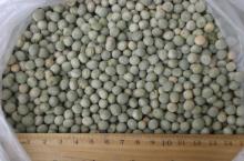 Green Peas