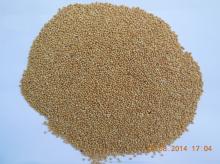 Millet yellow