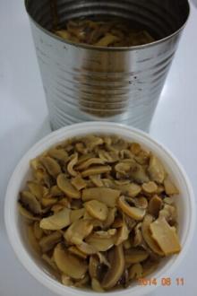 2014 Fresh  Canned   Mushroom  in  Tin 