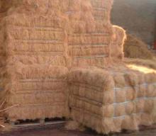 Coconut Fiber for sale