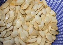 Pumpkin Seeds