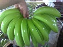 PREMIUM ONE BANANA
