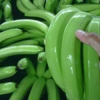 FRESH QUALITY PREMIUM CAVENDISH BANANA