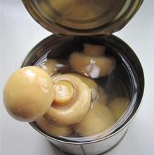 Chinese Canned Mushroom Brands Price