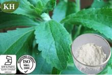 Stevia Leaf Extract Steviosides 80%, 90%, 95%, 98%;