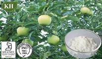 Apple Root Extract Phlorizin,CAS No.: 60-81-1