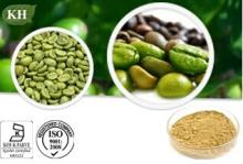 Green Coffee Bean Extract;50% Total Chlorogenic acids