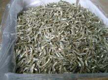 Dried Anchovy High Quality with Competitive Price (Vietnam)