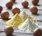 Organic Whole Egg Powder for Food,.!!