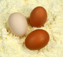 Organic Whole Egg Powder for Food .