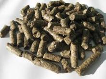  beet   pulp 