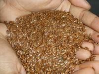 100% natural Flax seeds