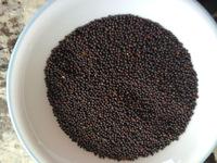 Rape   Seed s