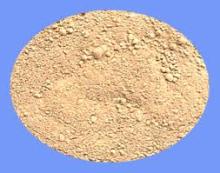 Semen Euryales Powder