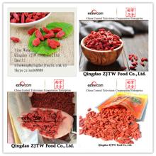 china goji berry